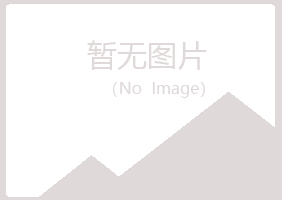 福山区敷衍会计有限公司